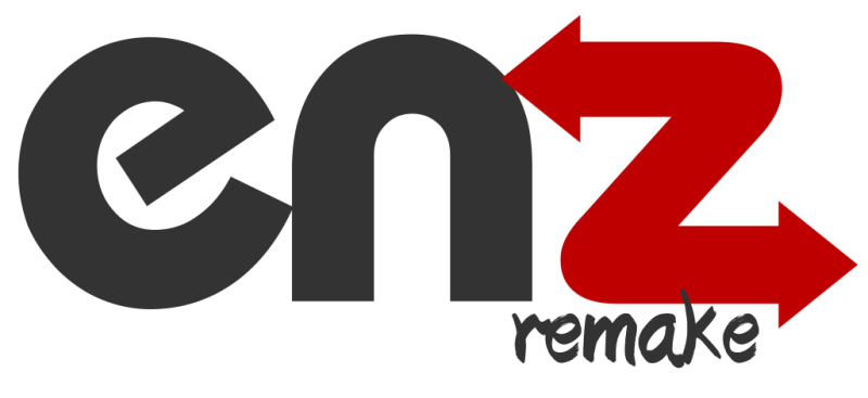 enz-remake-maak-haarlem-logo