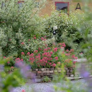 maak-haarlem-tzo-interview-ondernemers-sensor-in-klimaattuin